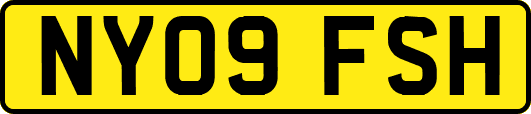 NY09FSH