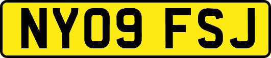 NY09FSJ