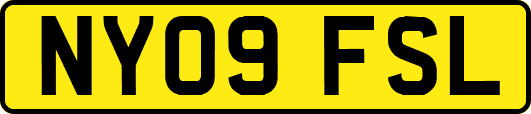 NY09FSL