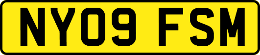 NY09FSM