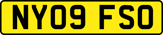 NY09FSO