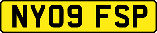 NY09FSP