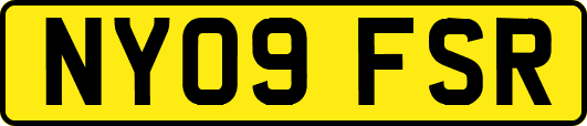 NY09FSR