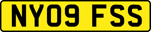 NY09FSS