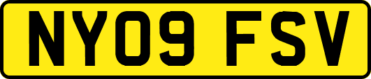 NY09FSV