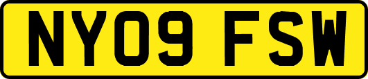 NY09FSW