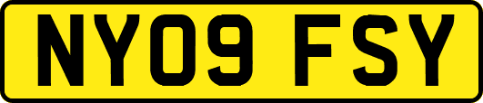 NY09FSY