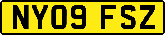 NY09FSZ
