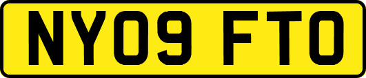 NY09FTO