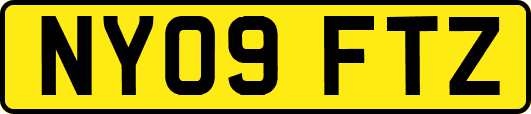 NY09FTZ