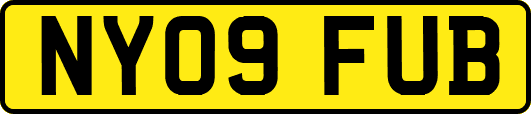 NY09FUB