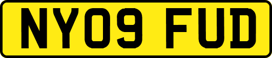 NY09FUD