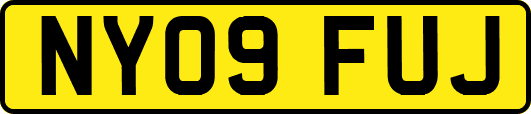 NY09FUJ