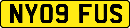 NY09FUS