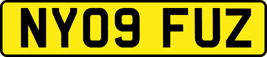 NY09FUZ