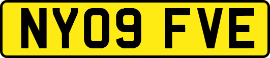NY09FVE