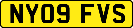 NY09FVS