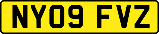 NY09FVZ