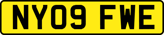 NY09FWE