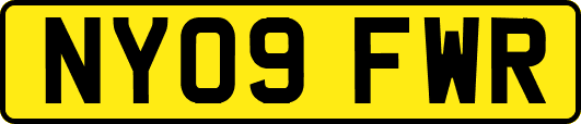 NY09FWR