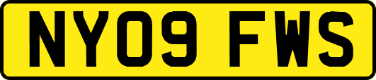 NY09FWS