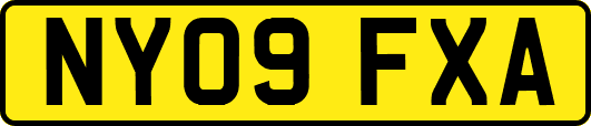 NY09FXA
