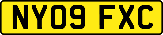 NY09FXC