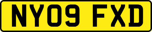 NY09FXD