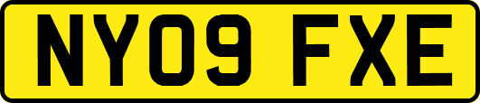 NY09FXE