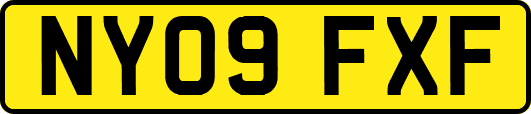 NY09FXF