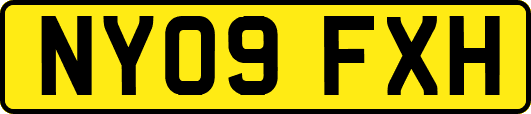 NY09FXH