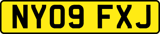 NY09FXJ