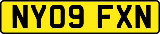 NY09FXN