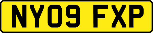 NY09FXP