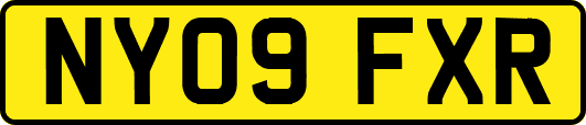 NY09FXR