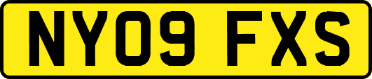 NY09FXS
