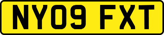 NY09FXT