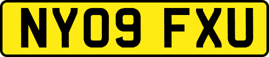 NY09FXU