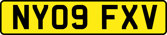 NY09FXV