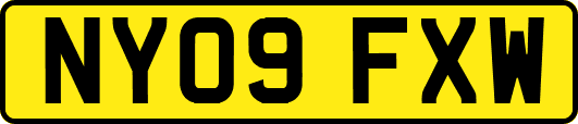 NY09FXW