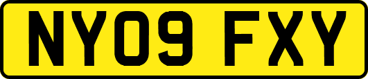 NY09FXY