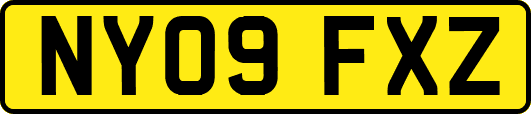 NY09FXZ