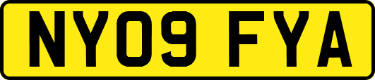 NY09FYA