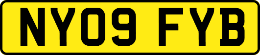 NY09FYB