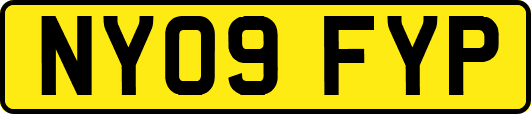 NY09FYP