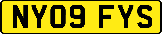 NY09FYS