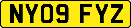 NY09FYZ