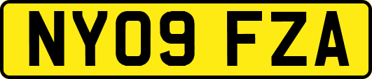 NY09FZA