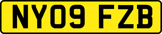 NY09FZB