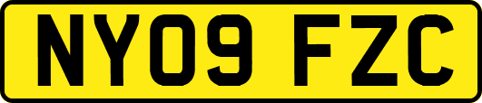 NY09FZC